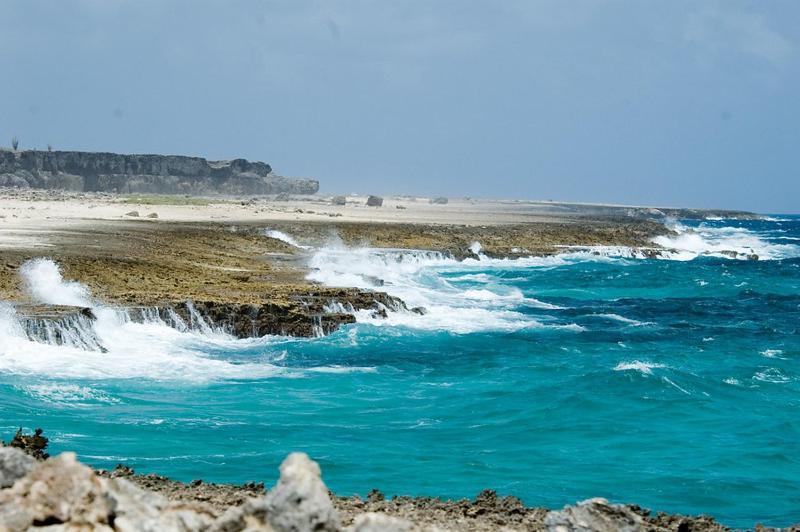Woodz Bonaire Daire Playa Dış mekan fotoğraf